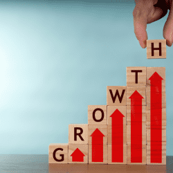 The Importance of SEO Audits for Your Business Growth